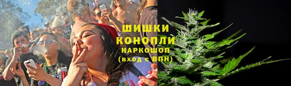 ПСИЛОЦИБИНОВЫЕ ГРИБЫ Баксан