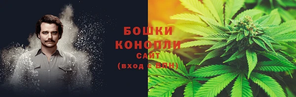 ПСИЛОЦИБИНОВЫЕ ГРИБЫ Баксан