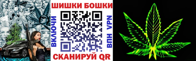 Бошки Шишки SATIVA & INDICA  купить наркоту  Чулым 